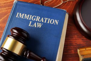 Immigration law book